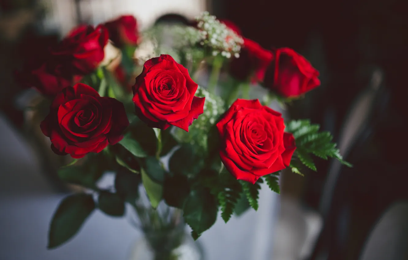 Фото обои цветы, розы, лепестки, красные