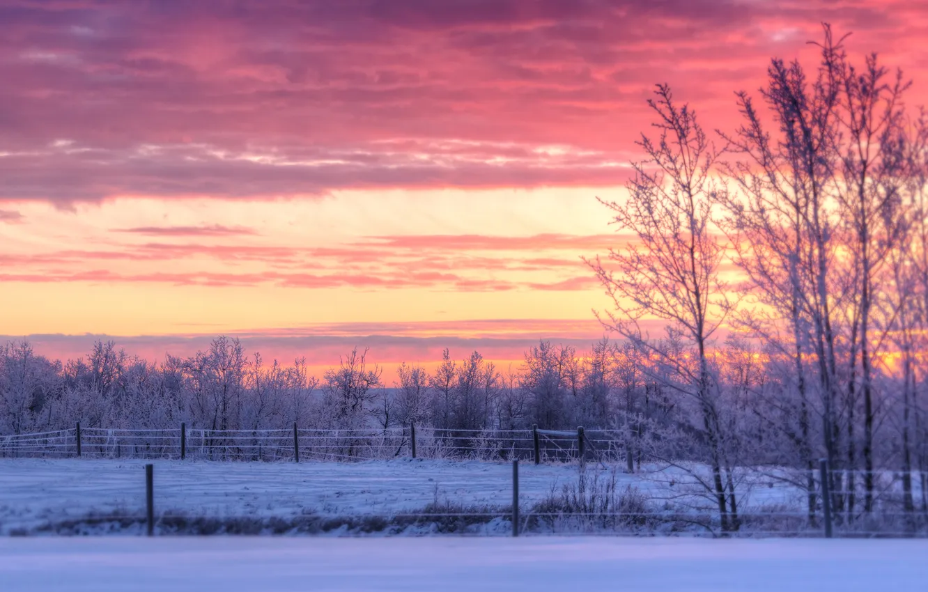 Фото обои зима, облака, снег, деревья, закат, забор, сельская местность, фермы