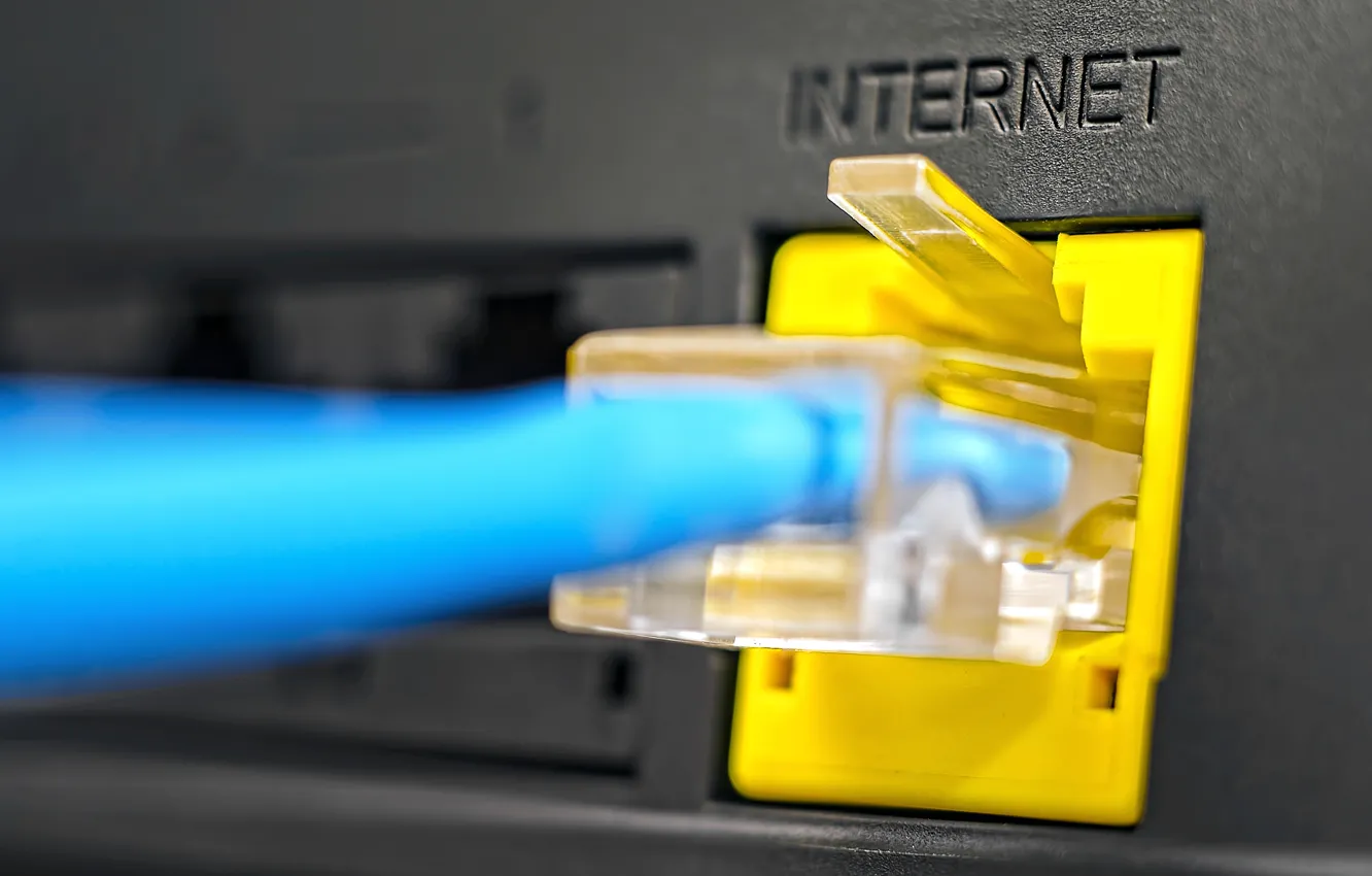 Фото обои internet, cable, connector