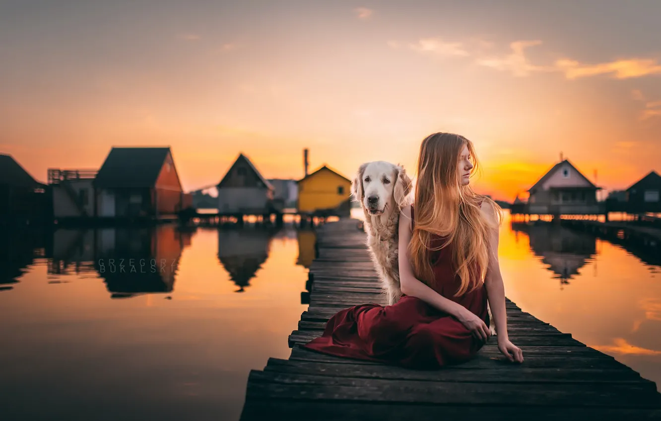 Фото обои девушка, закат, мост, собака