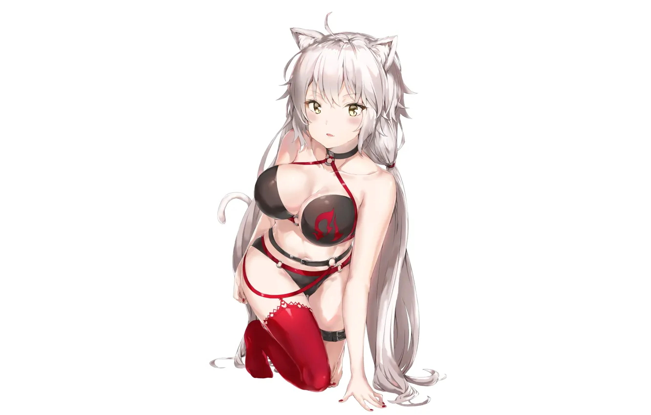 Фото обои девушка, секси, Fate / Grand Order, Судьба великая кампания