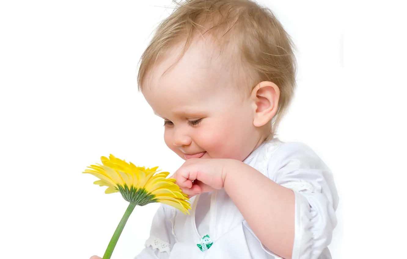 Фото обои цветок, ребенок, малышка, child, kid, Infants