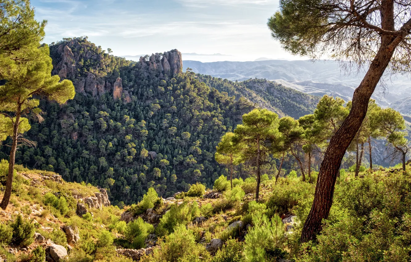 Фото обои пейзаж, Испания, Sierra de Carzola