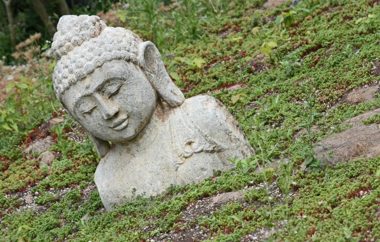 Фото обои статуя, Japan, Будда, Buddha, в земле