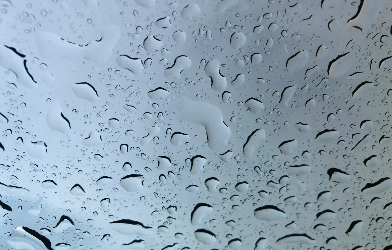 Фото обои дождь, дождливый день, капли дождя