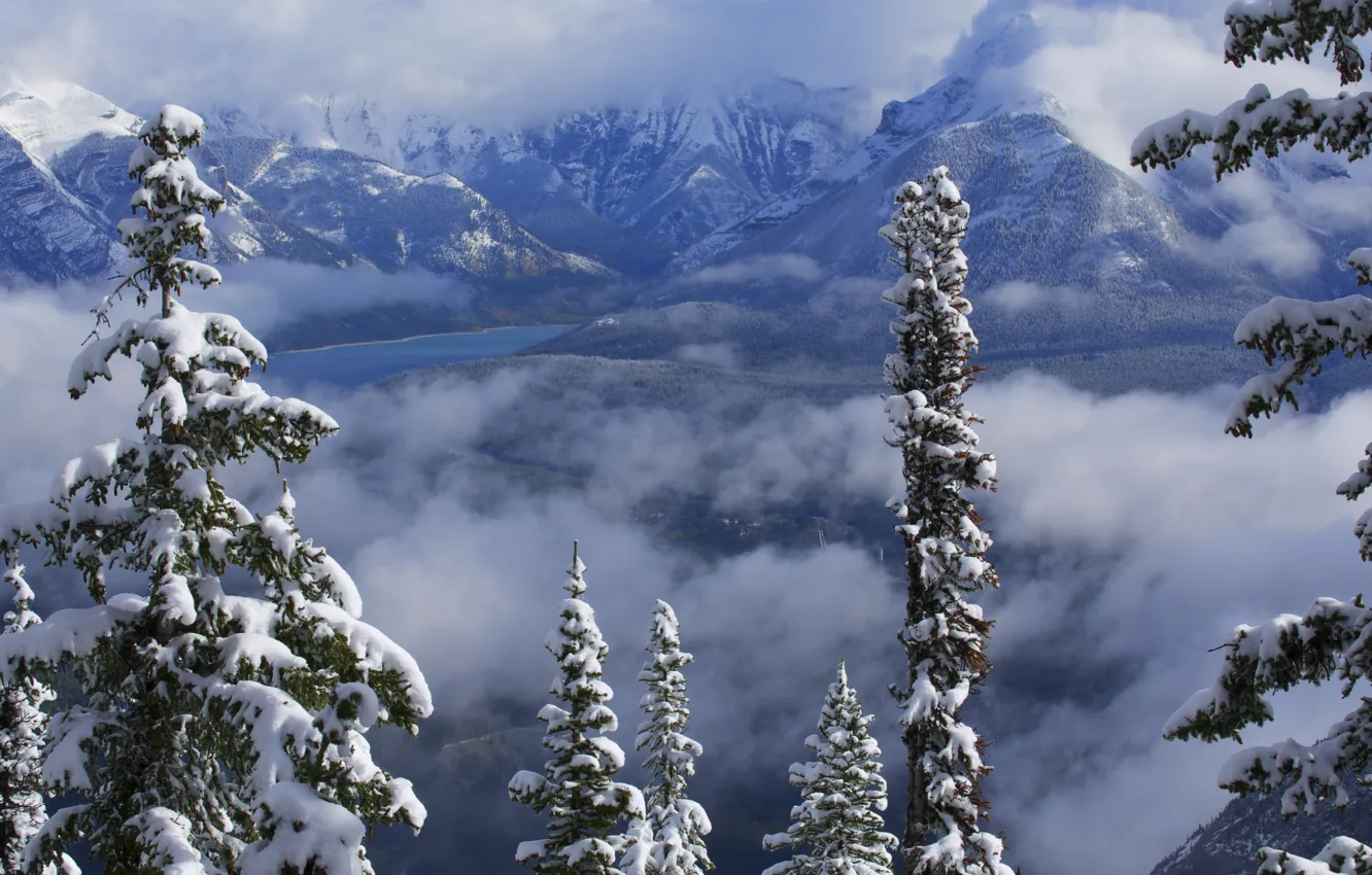 Фото обои зима, облака, снег, деревья, горы, озеро, Канада, Альберта