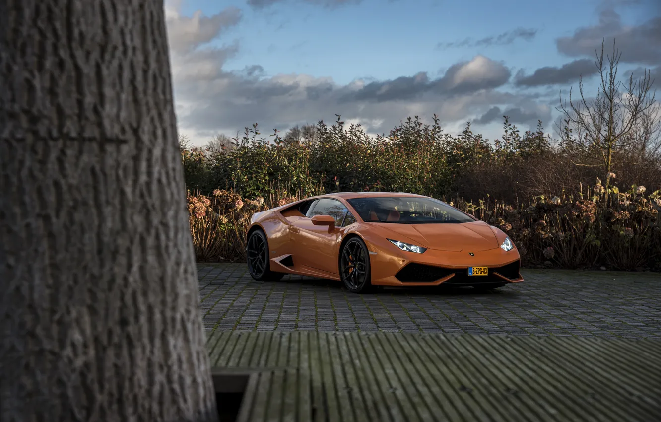 Фото обои Lamborghini, Tree, Huracan, LP610-4