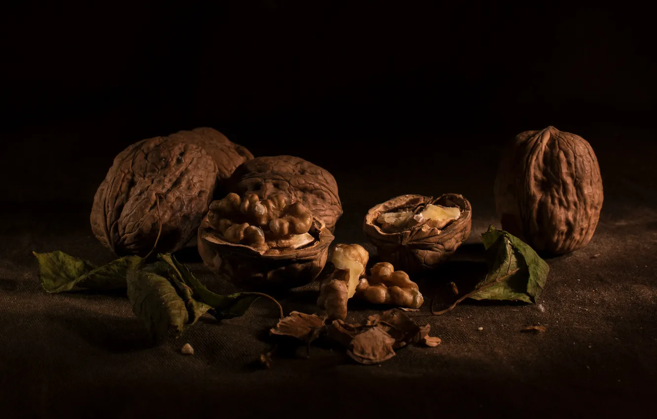 Фото обои листья, темный фон, ткань, орехи, натюрморт, грецкие, грецкие орехи, колотые