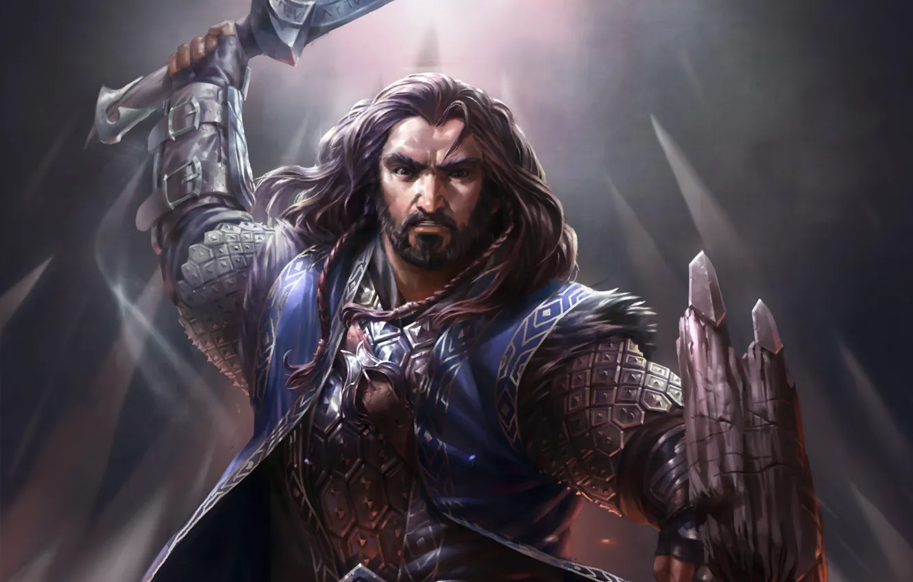 Фото обои оружие, воин, властелин колец, арт, щит, гном, lord of the rings, Thorin