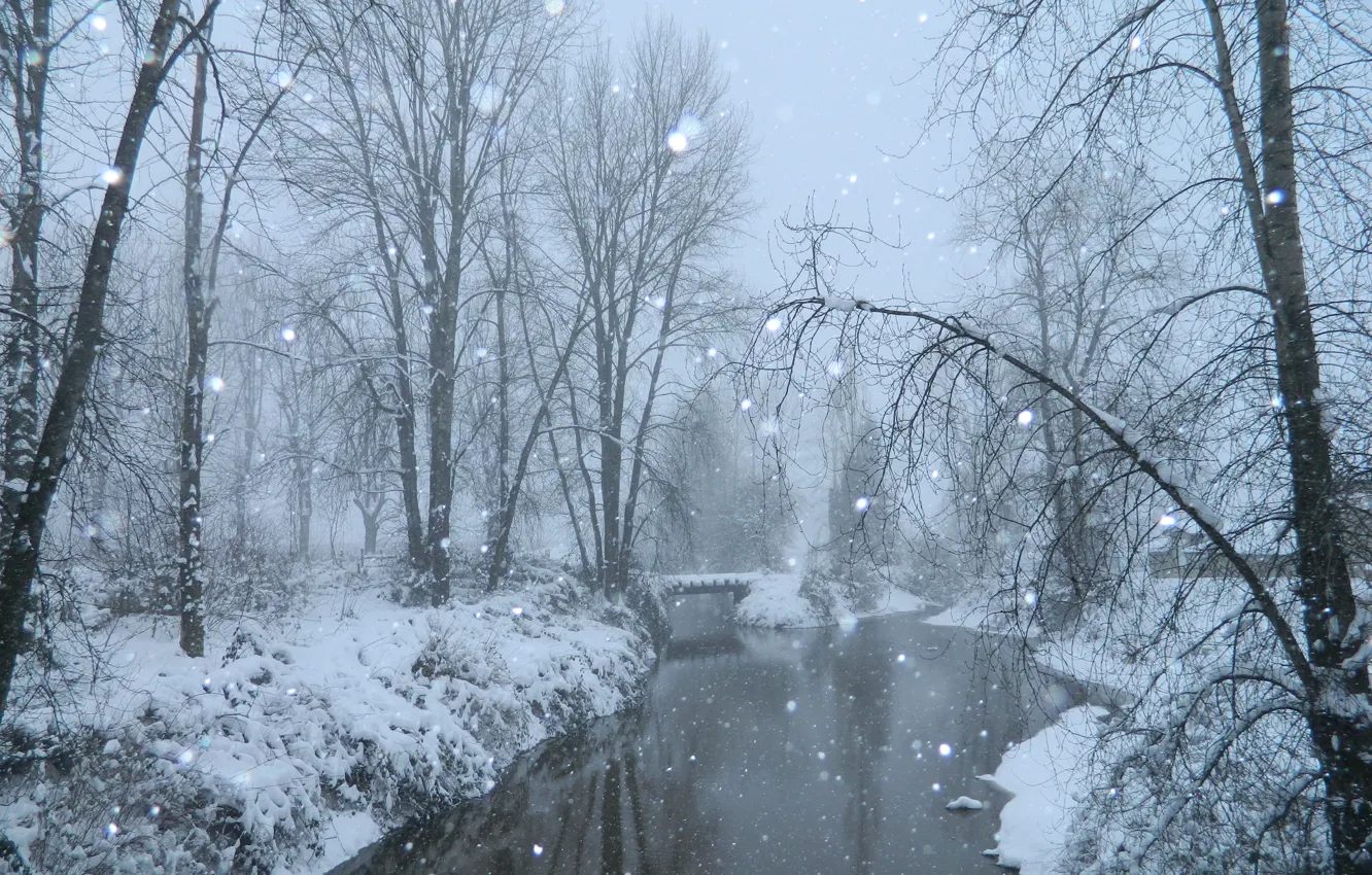 Фото обои зима, снег, деревья, туман, пруд, мороз, Nature, мостик