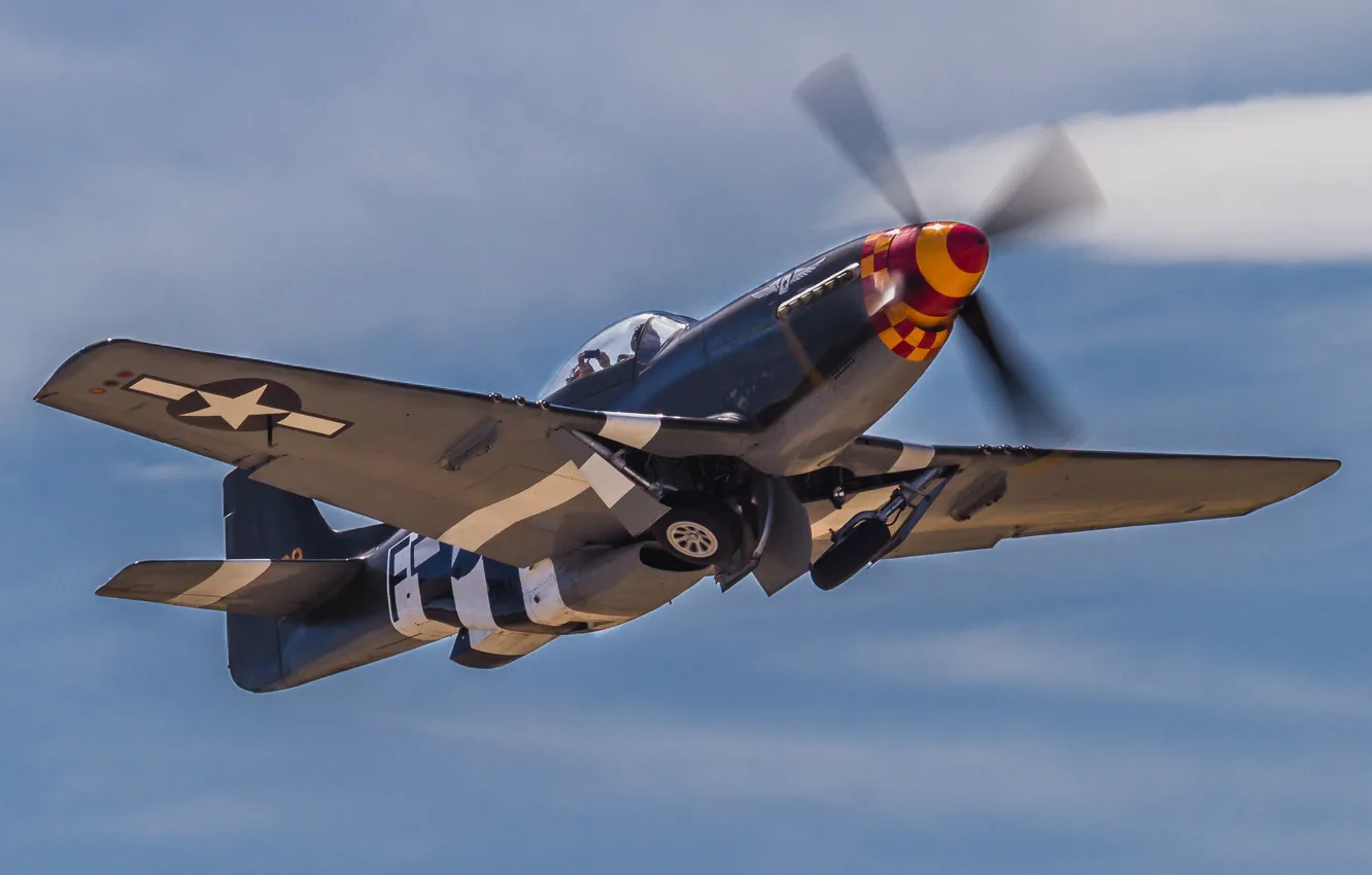 Фото обои Mustang, истребитель, P-51D, одноместный