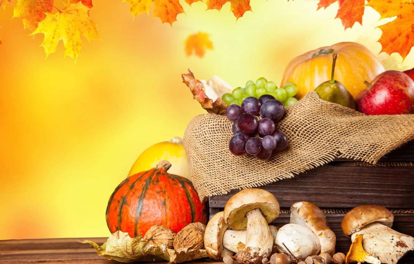 Фото обои осень, листья, яблоки, грибы, урожай, виноград, тыквы, фрукты