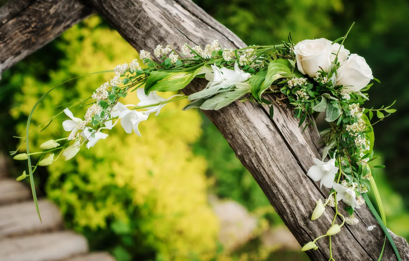 Фото обои цветы, букет, ствол, flowers, bouquet, the stem