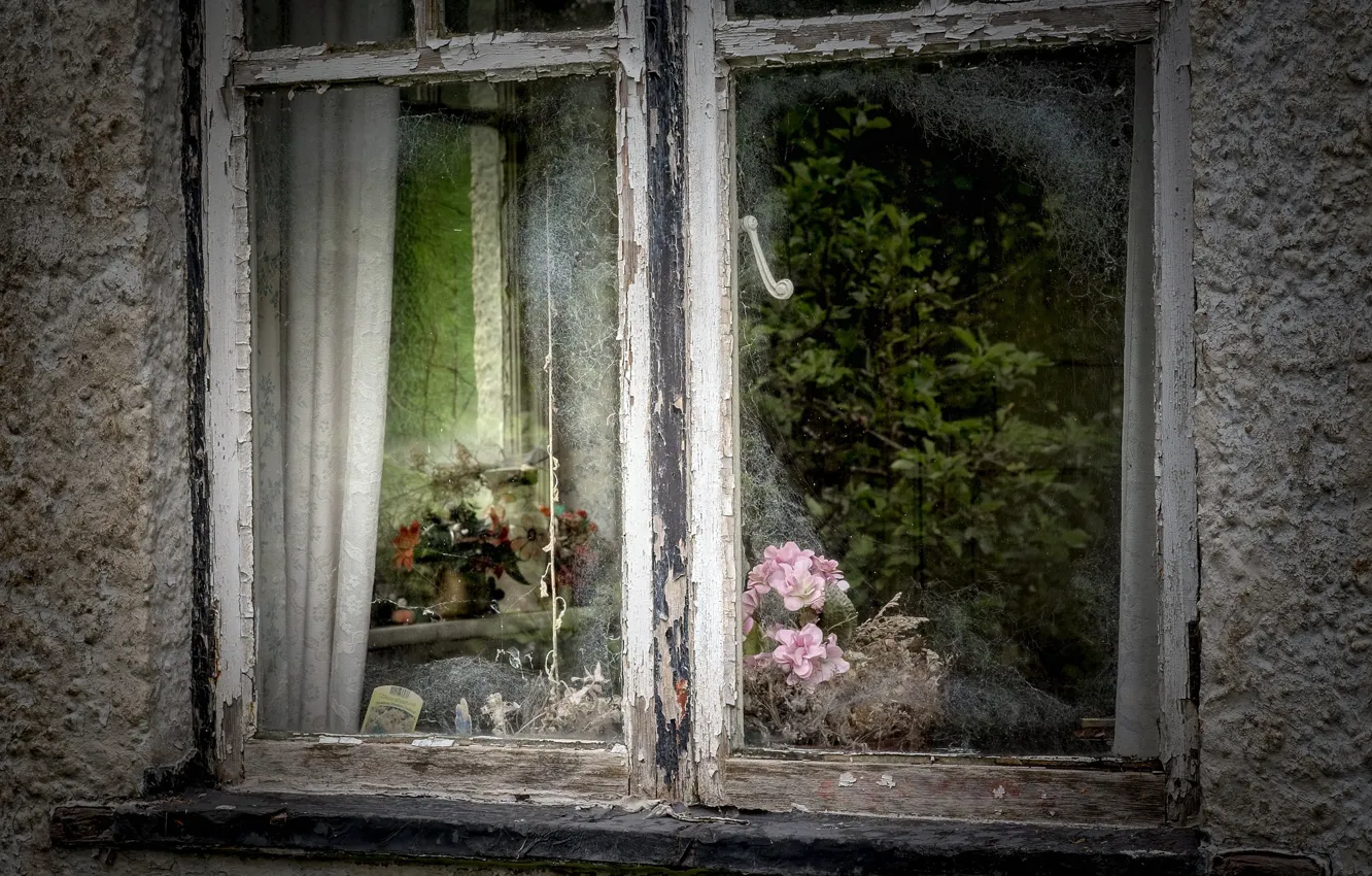Фото обои цветы, дом, окно
