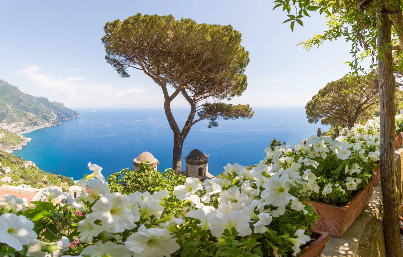 Фото обои море, дерево, Италия, Амальфи, петуния, Равелло, Вилла Руфоло