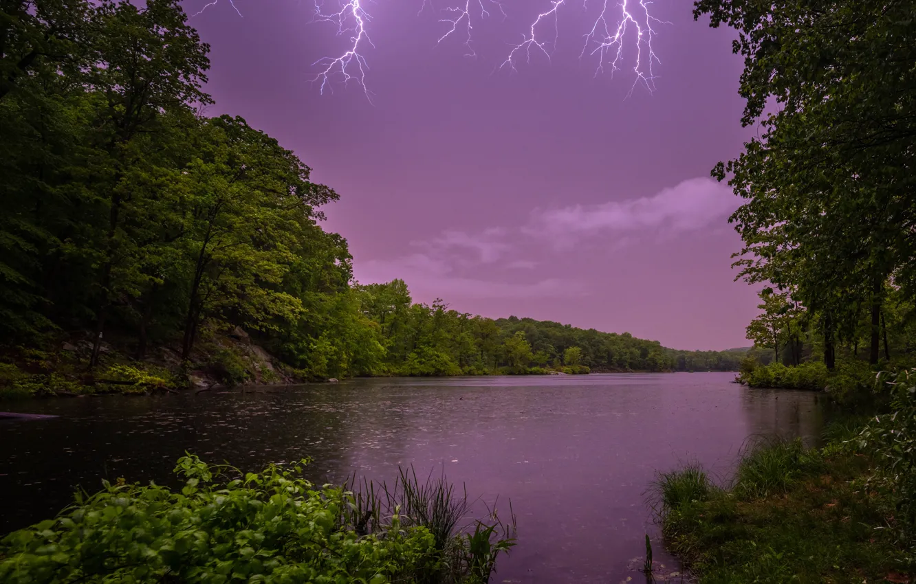 Фото обои гроза, лес, деревья, озеро, молния, Нью-Джерси, New Jersey, Johnson Lake