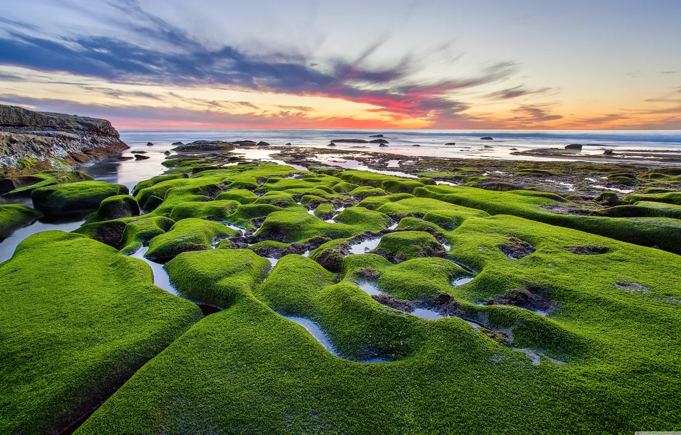 Фото обои закат, камни, берег, Море, мох. зеленый