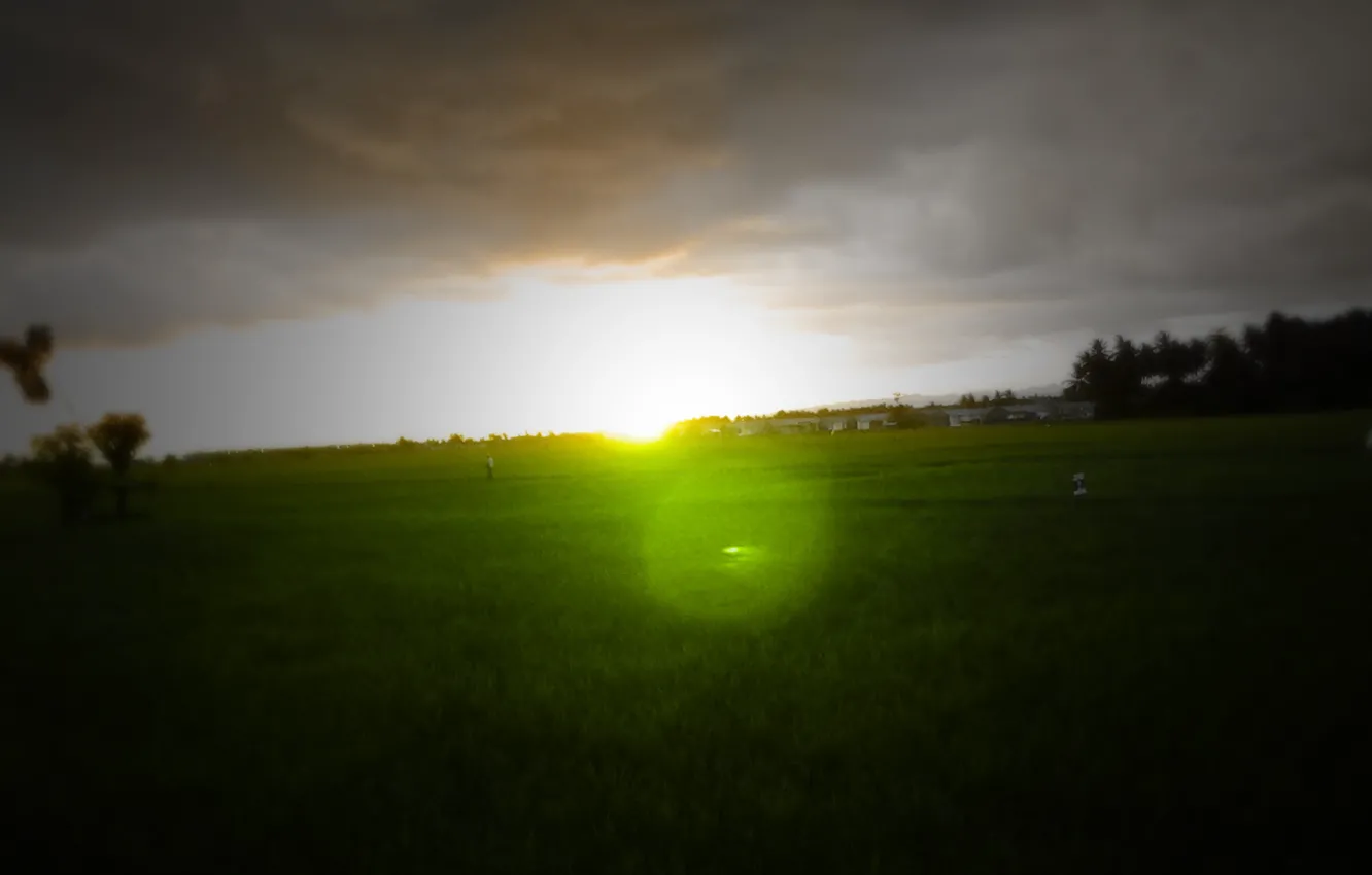Фото обои Green, Sunset, Twilight, Photography, Field, Indonesia, Afternoon, Sulawesi
