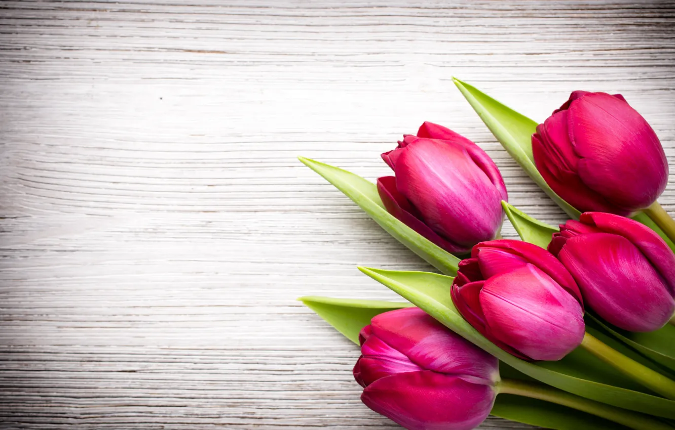 Фото обои цветы, букет, fresh, wood, pink, flowers, beautiful, tulips