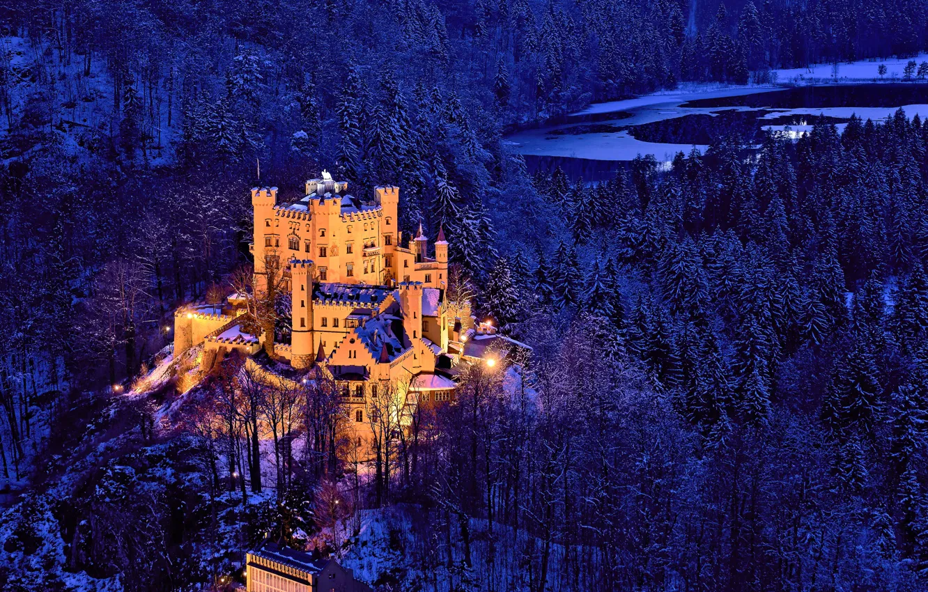 Фото обои зима, лес, деревья, замок, Германия, Бавария, Germany, Bavaria