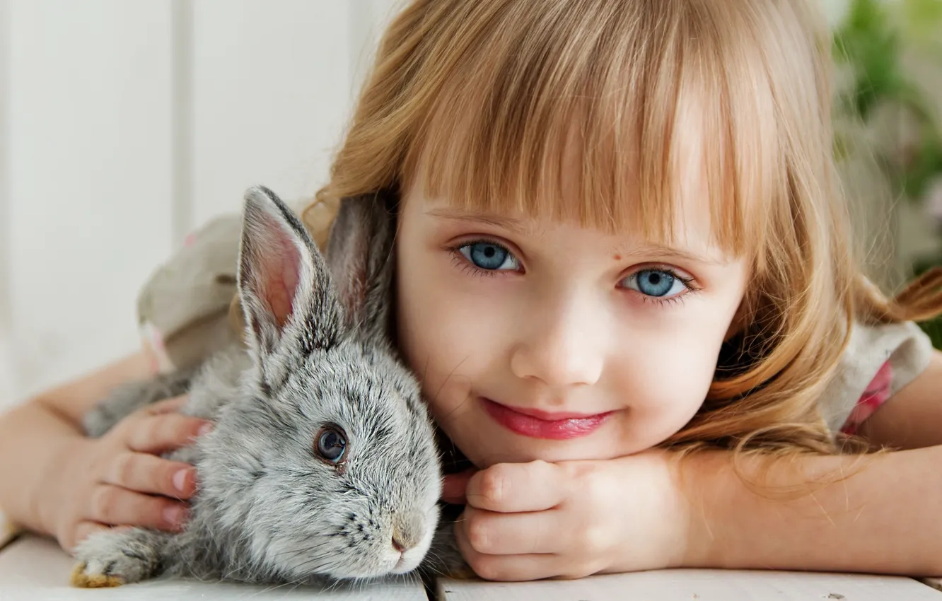 Фото обои взгляд, кролик, девочка
