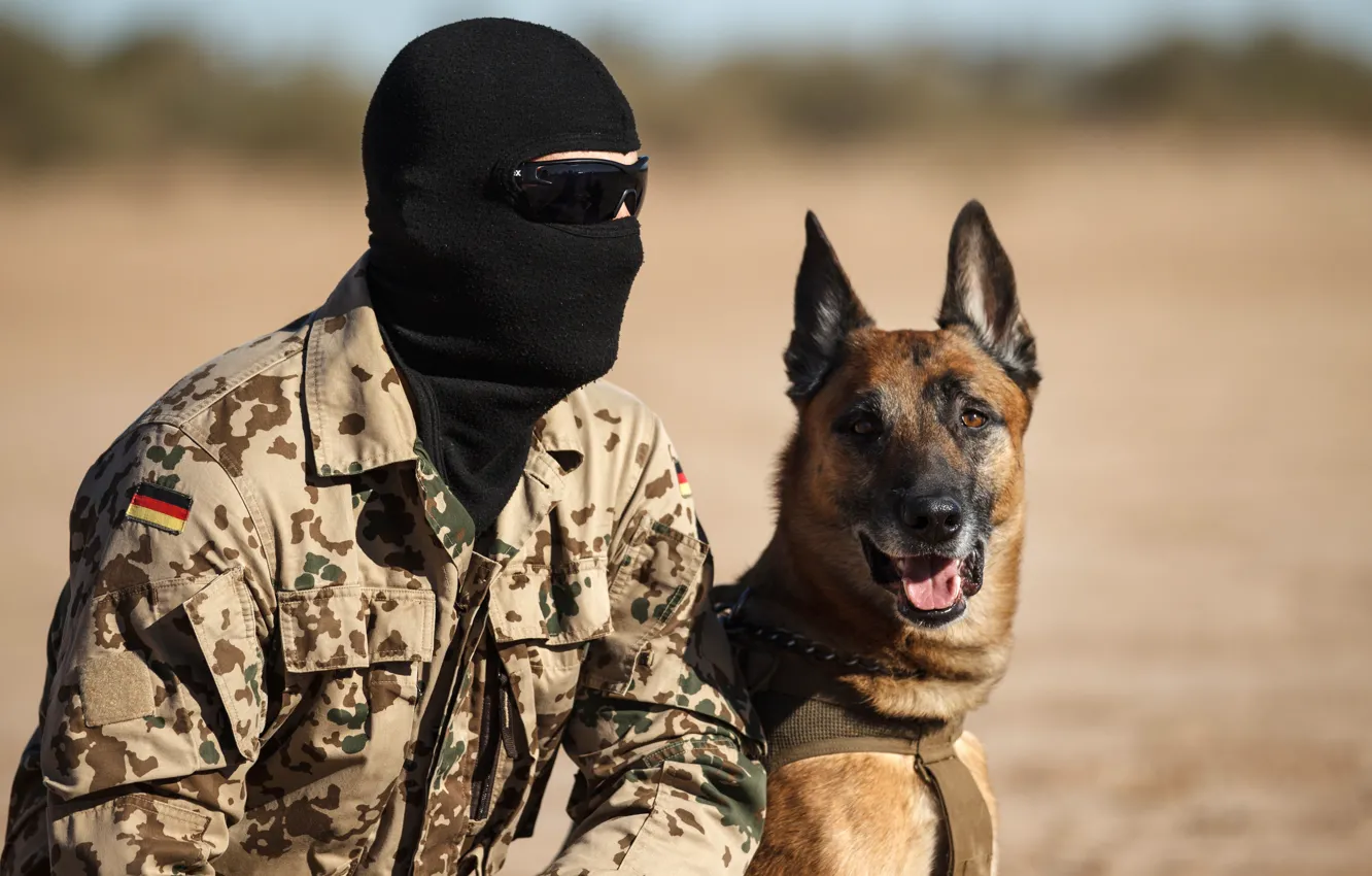 Фото обои собака, маска, очки, солдат, напарники