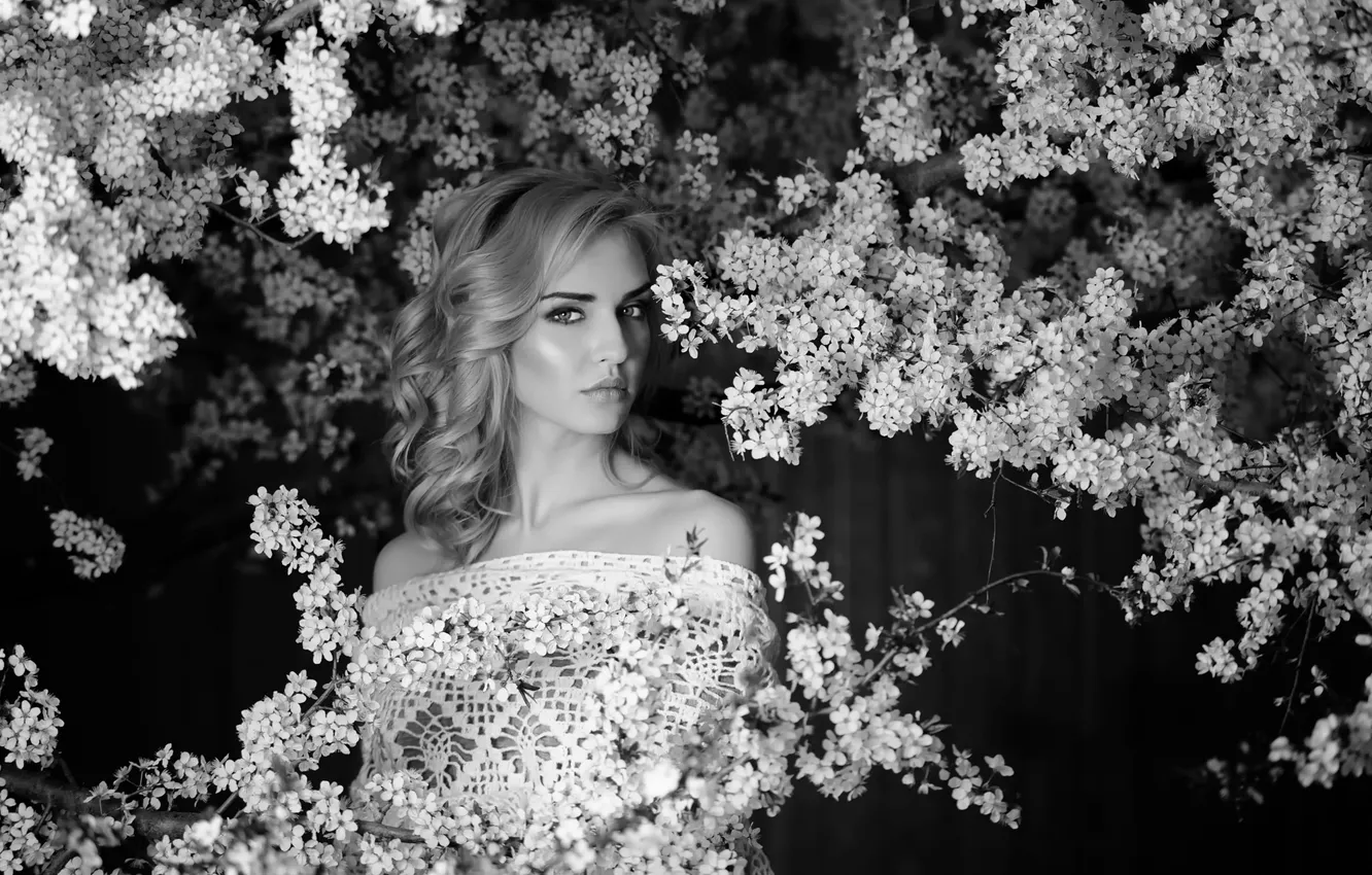 Фото обои девушка, портрет, цветение, Ekaterina Gorokhova