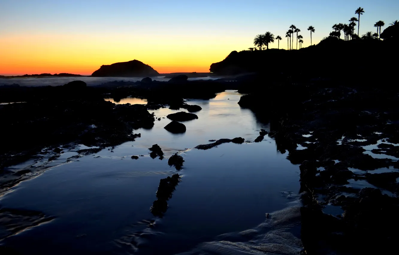 Фото обои пляж, пальмы, рассвет, Laguna Beach, southern California