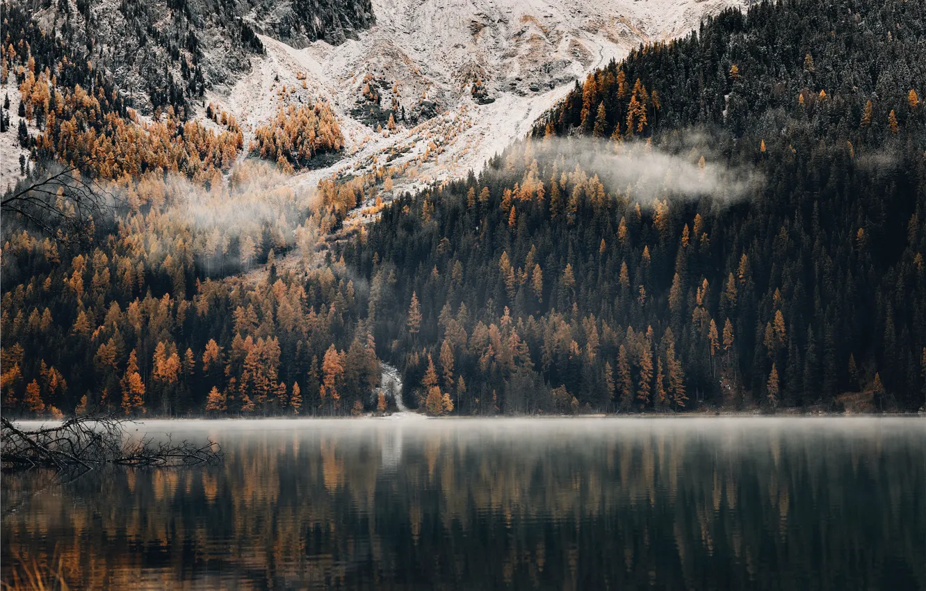 Фото обои forest, trees, landscape, nature, water, lake, reflection