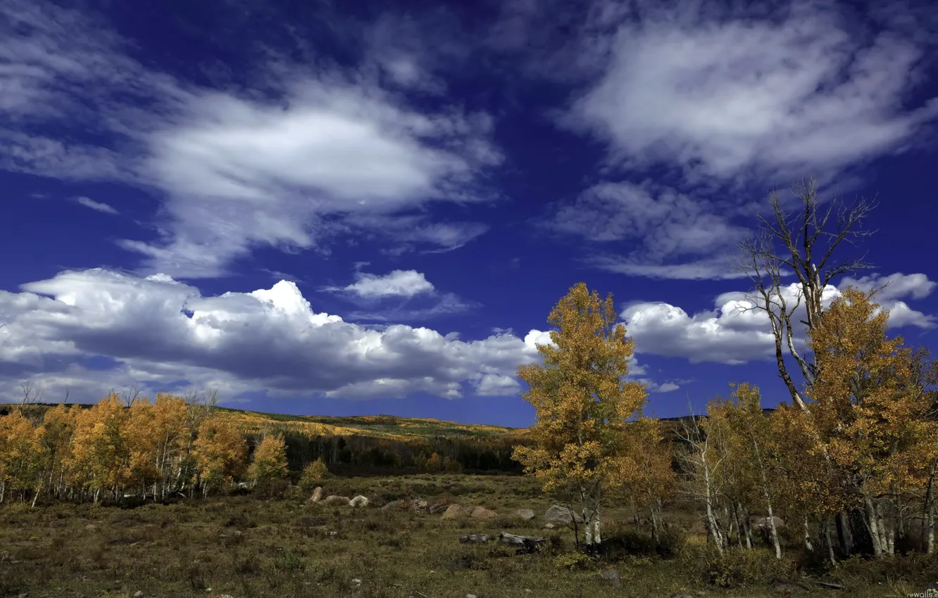 Фото обои осень, лес, небо, облака, деревья, пейзаж, камни, береза