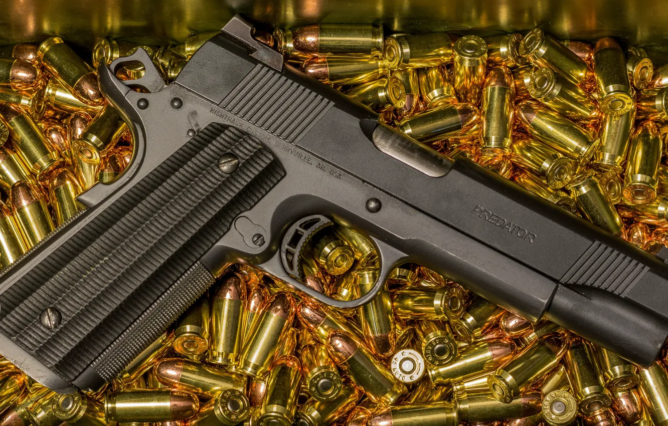 Фото обои пистолет, оружие, Predator, 1911, Nighthawk Custom