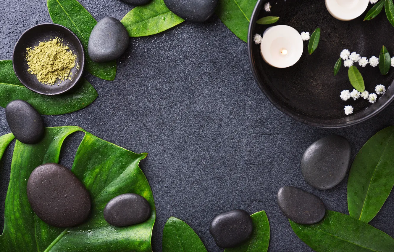 Фото обои листья, вода, капли, цветы, галька, камни, фон, черный