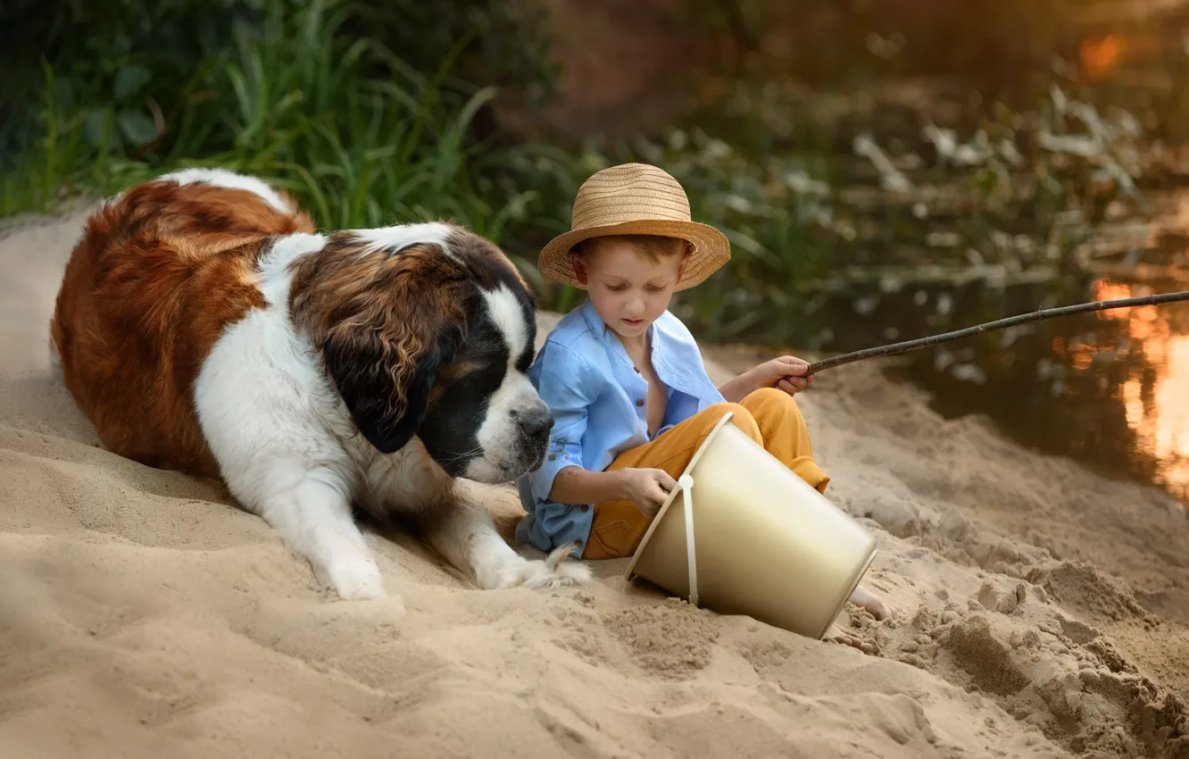 Фото обои игра, собака, мальчик, ведро, ребёнок, пёс, Татьяна Козлова