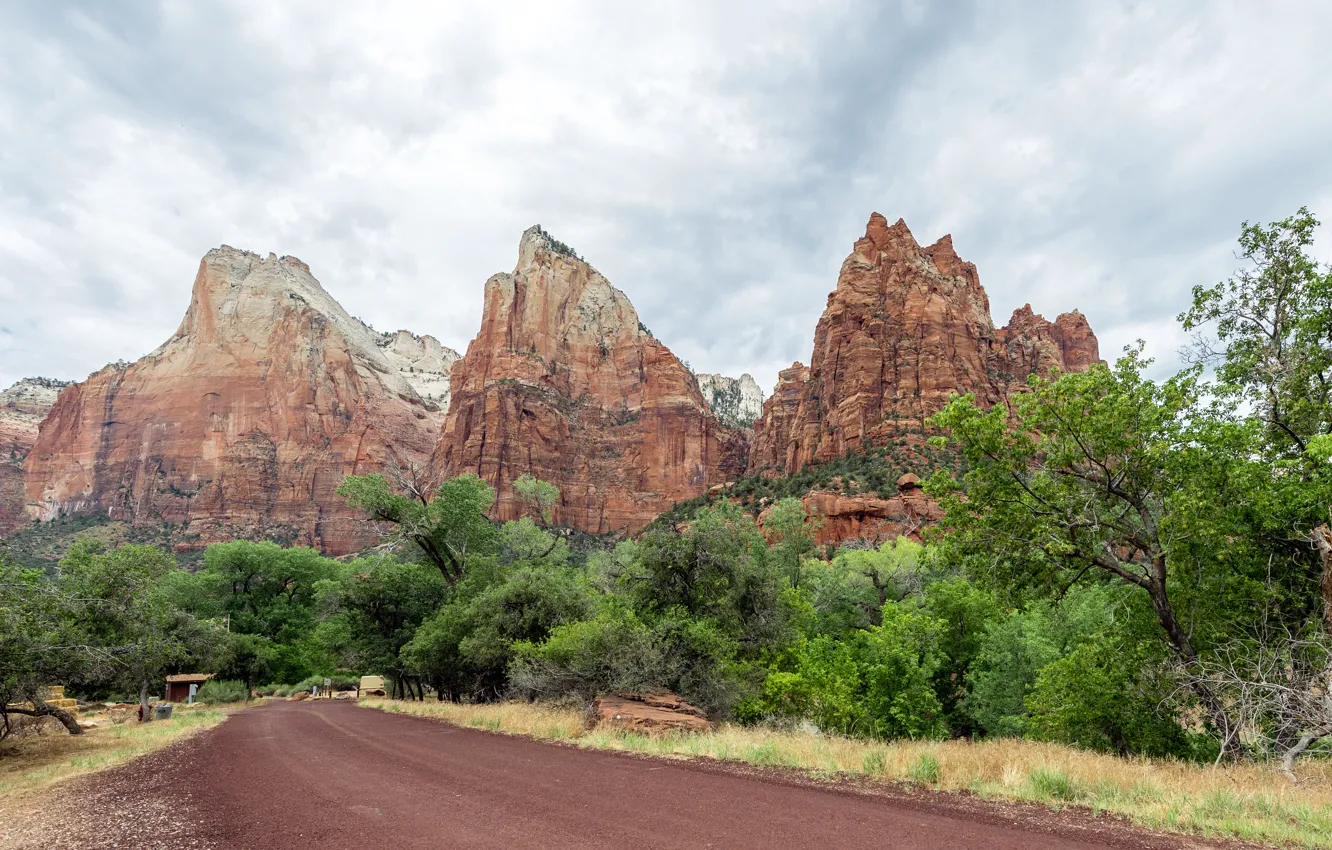 Фото обои road, cloud, park, mountain, tree, usa, national, utah