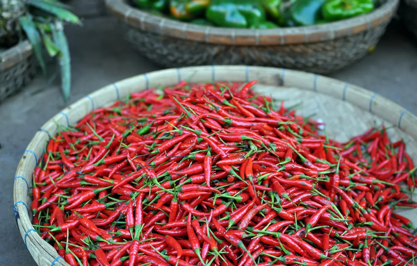 Фото обои red, chili, pepper, cambodia