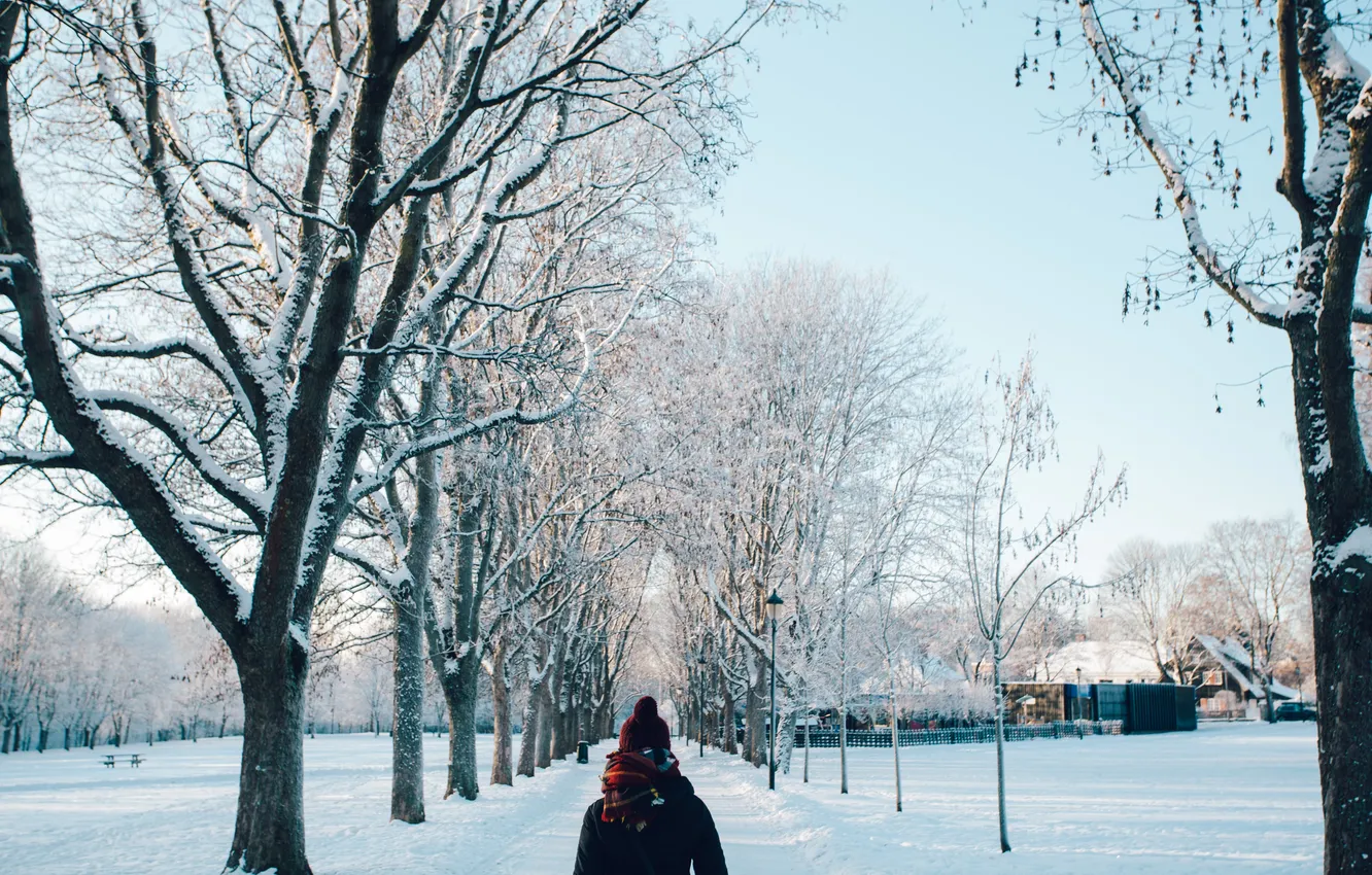 Фото обои зима, дорога, девушка, снег, деревья, шапка, шарф