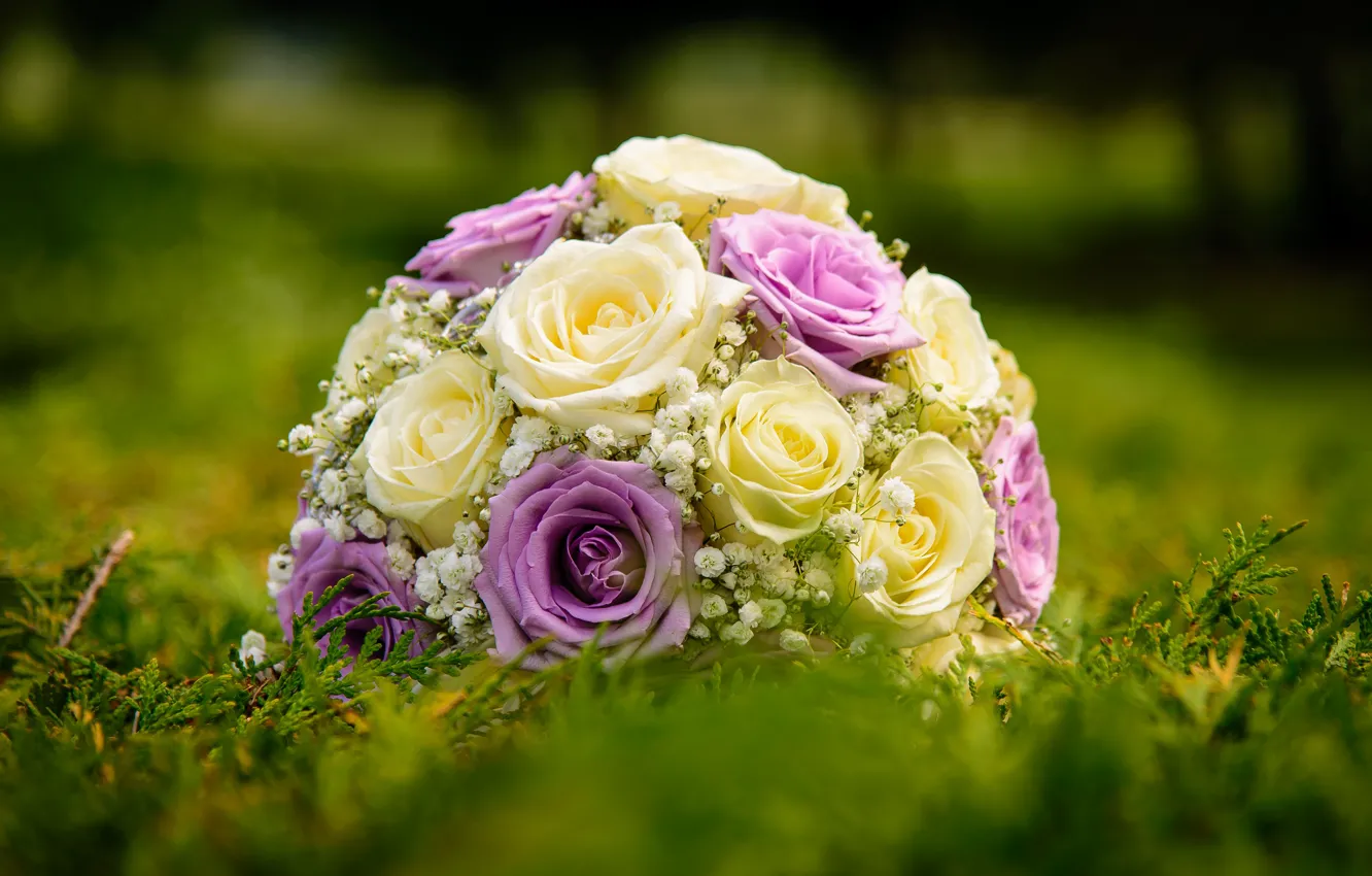 Фото обои розы, размытость, букет невесты