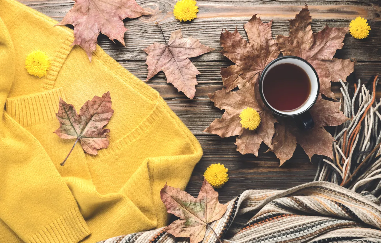 Фото обои осень, листья, фон, дерево, кофе, colorful, чашка, wood