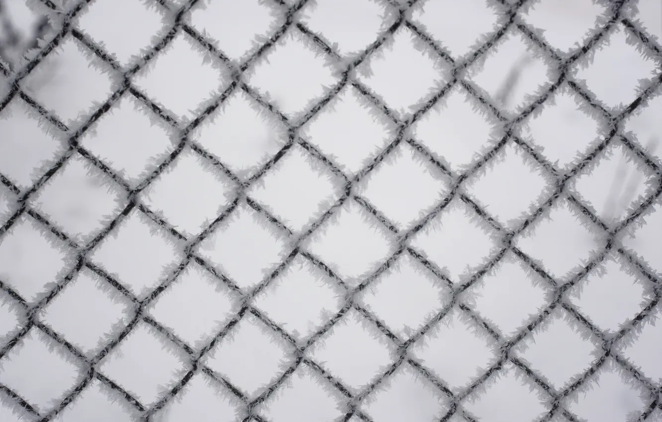 Фото обои зима, иний, сетка, забор, проволока