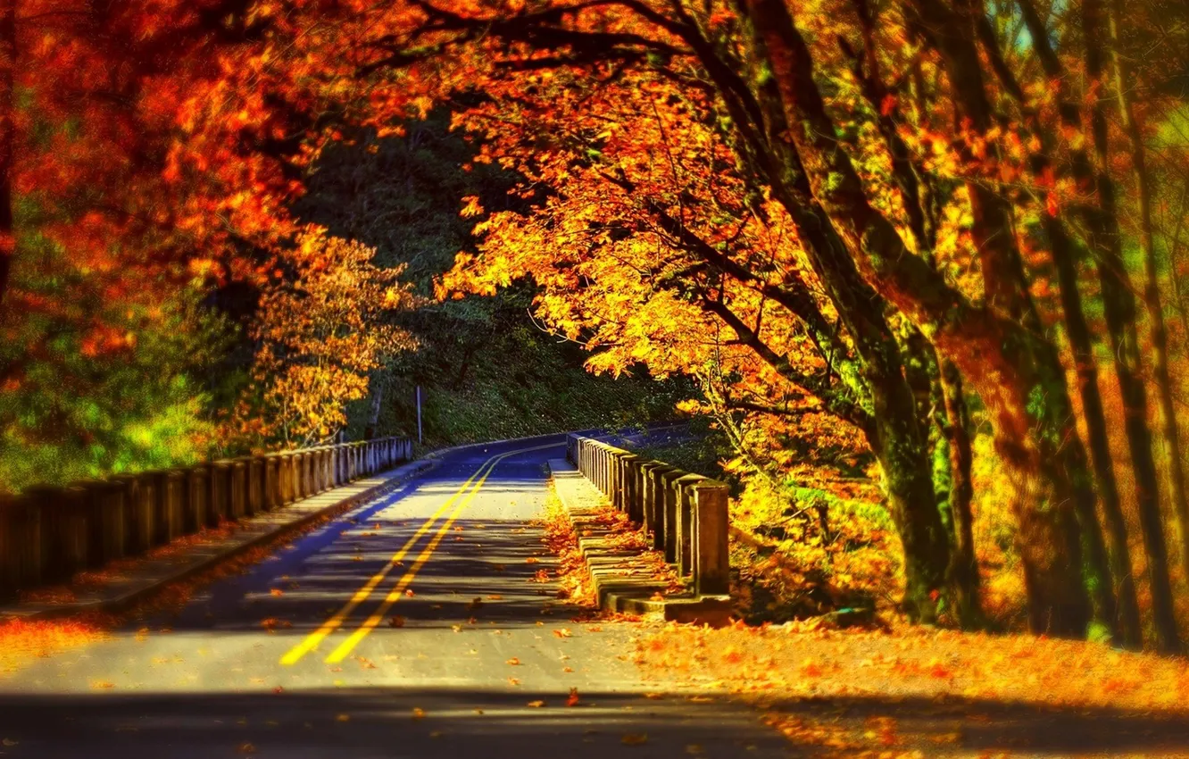 Фото обои road, bridge, fall
