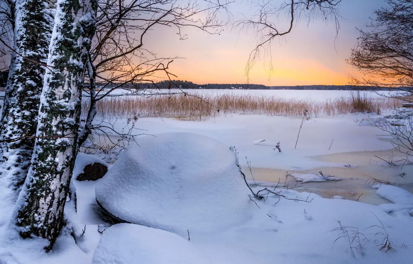 Фото обои лед, зима, поле, снег, деревья, закат