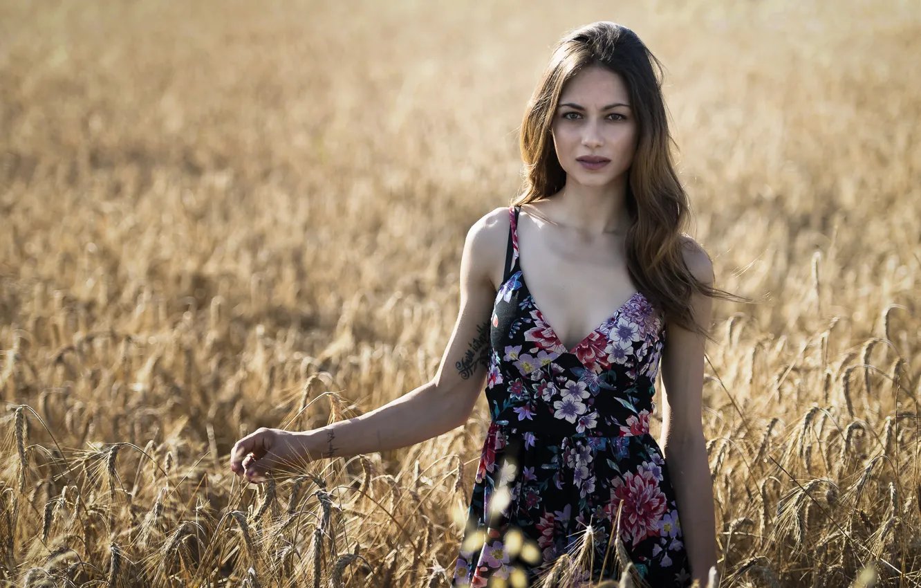 Фото обои лицо, модель, платье, красавица, Erika