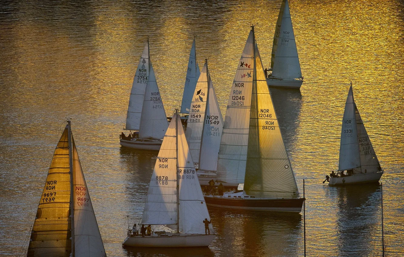 Фото обои отражение, океан, яхты, паруса, ocean, регата, unsplash, Vidar Nordli Mathisen