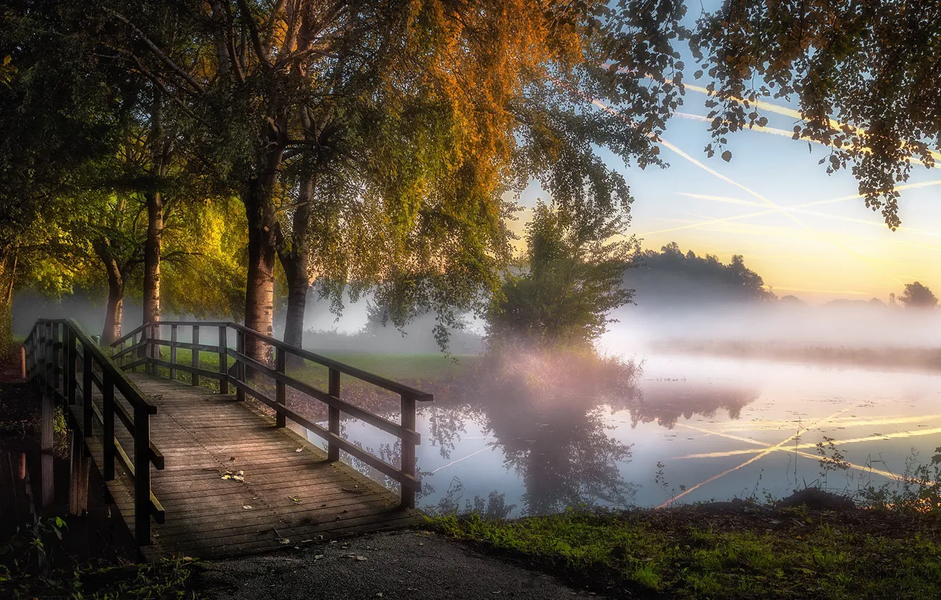 Фото обои осень, небо, свет, деревья, туман, озеро, пруд, парк