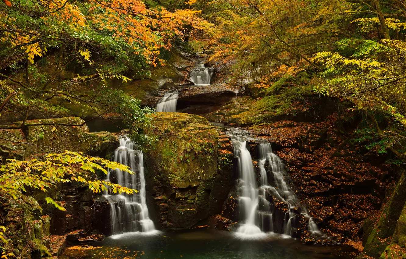 Фото обои осень, лес, деревья, пруд, камень, водопад