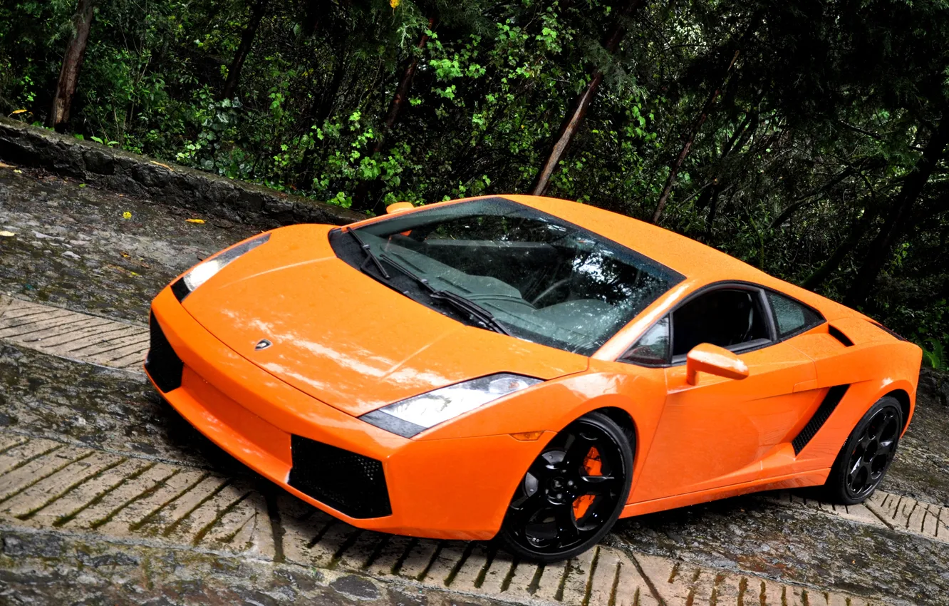 Фото обои оранжевый, Lamborghini, Gallardo