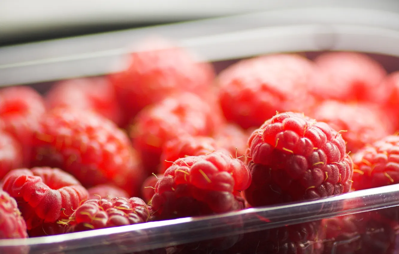 Фото обои красный, ягоды, малина, еда