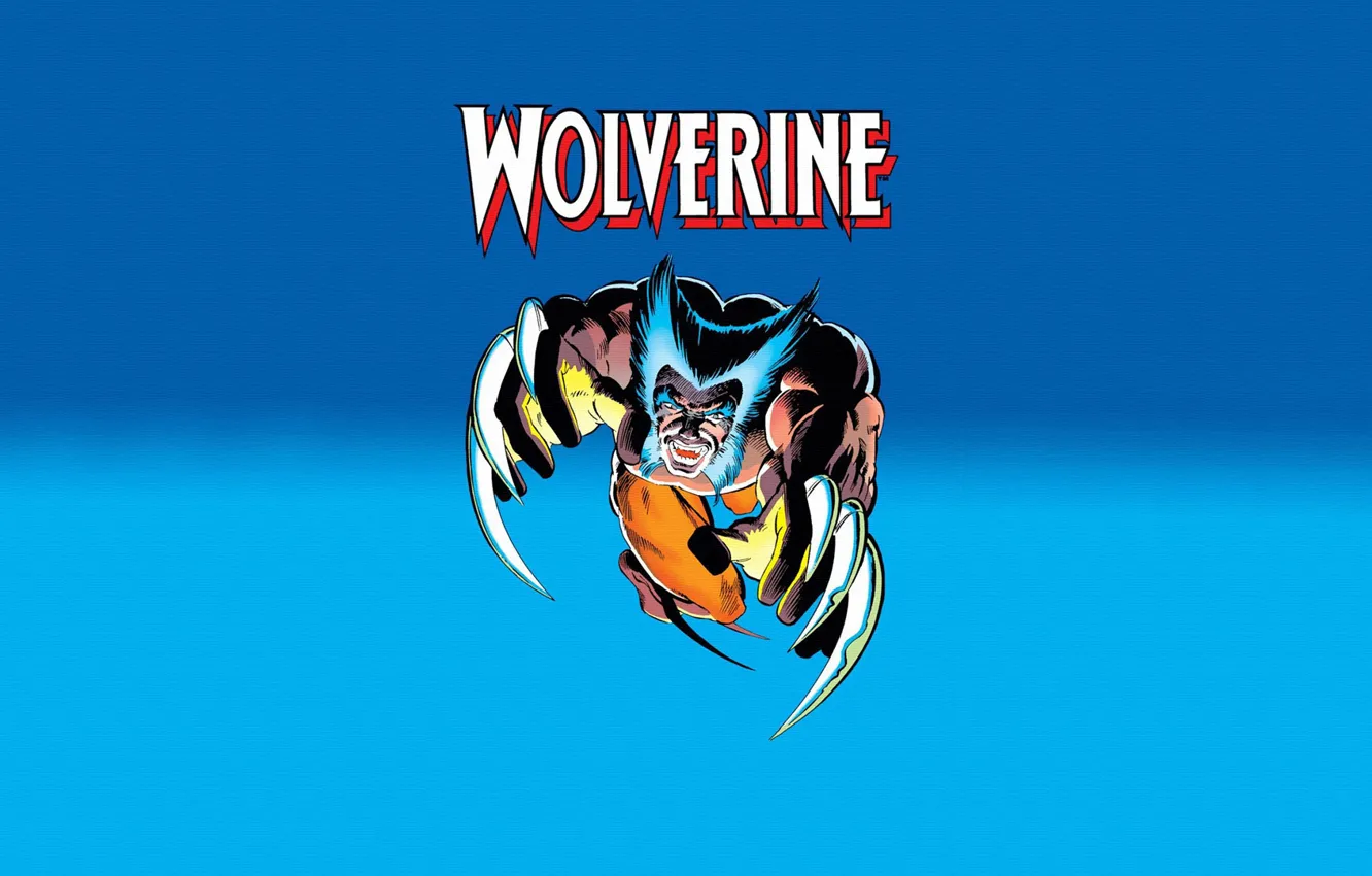 Фото обои когти, Росомаха, Логан, Wolverine, Logan, марвел, Marvel Comics