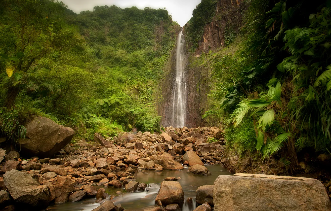 Фото обои природа, река, камни, водопад, джунгли