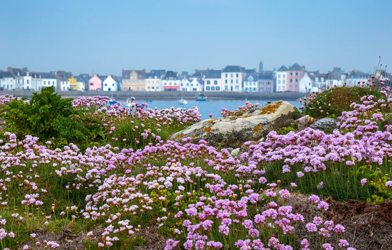 Фото обои цветы, берег, домик, водоем